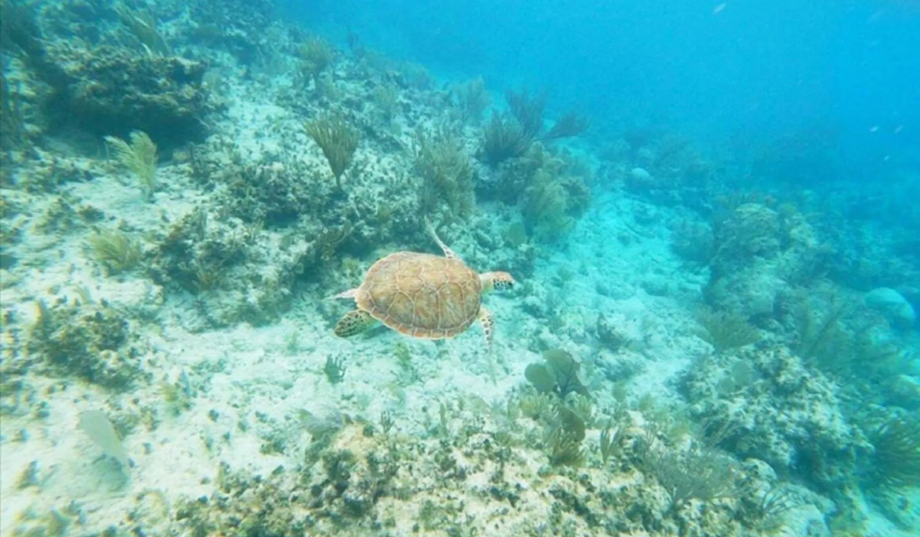 Sea Breeze Διαμέρισμα Fajardo Πουέρτο Ρίκο